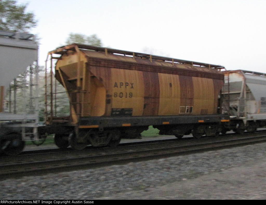 APPX 8019